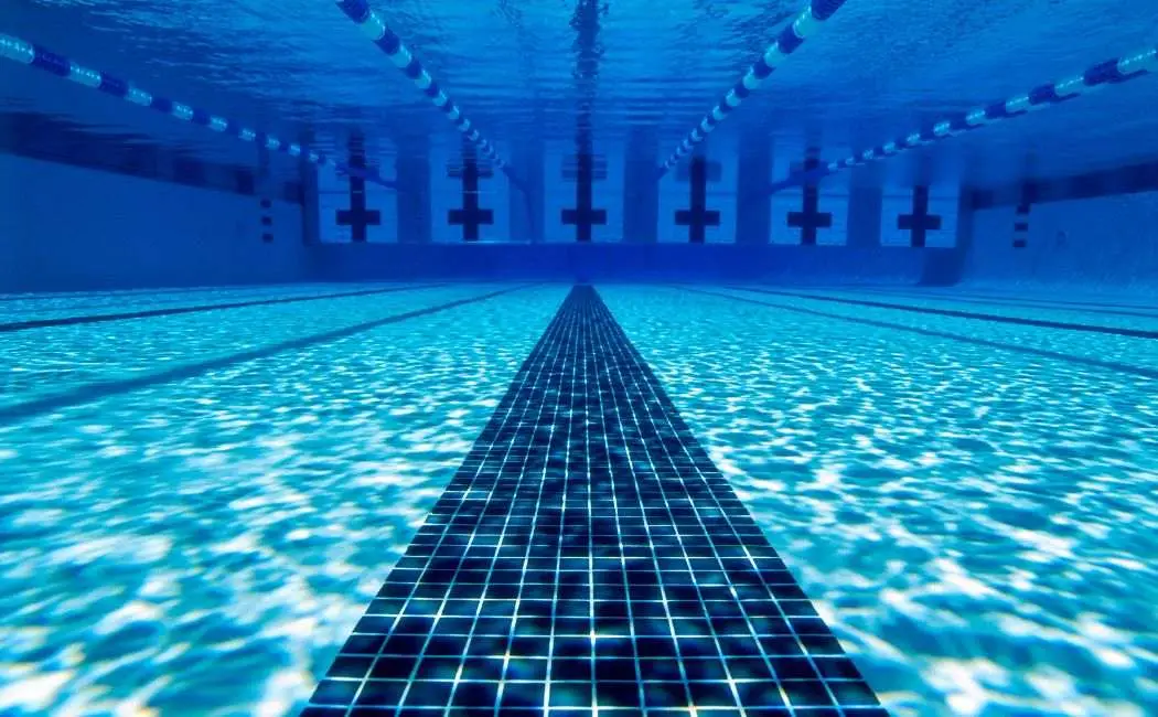 Amatorska Liga Pływacka w Aqua Zdrój – seria zawodów dla dorosłych amatorów