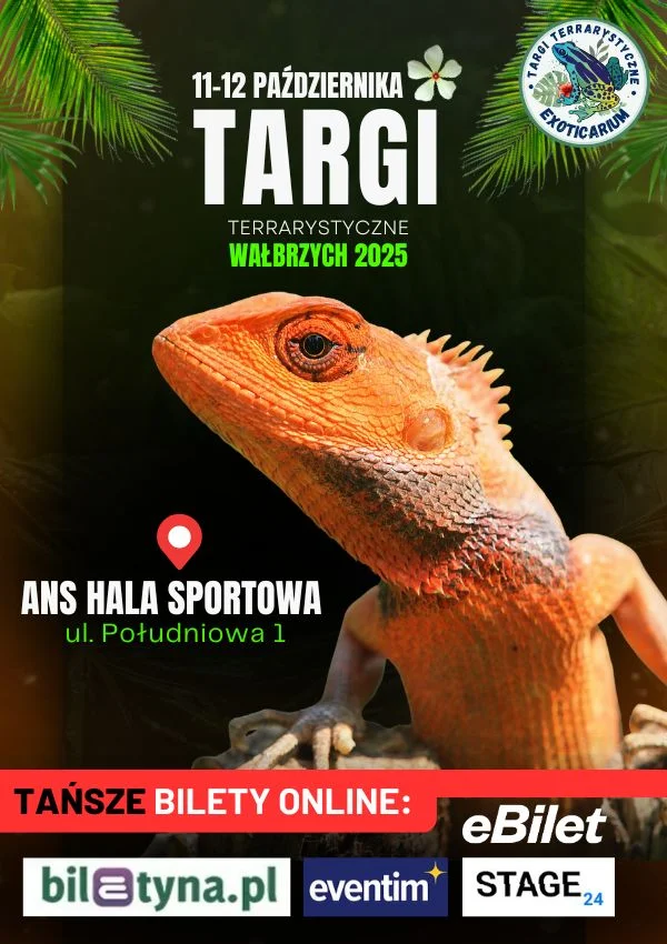 🐍 Targi Terrarystyczne EXOTICARIUM w Wałbrzychu