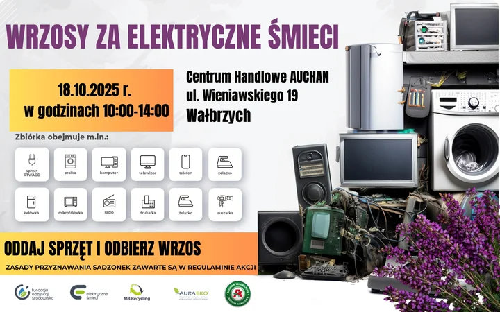 Zużyty telefon za wrzos? W Wałbrzychu rusza zbiórka elektrycznych śmieci z nagrodami!
