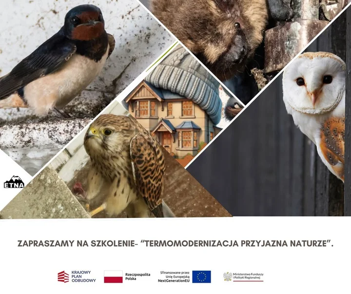 Grafika promocyjna wydarzenia Termomodernizacja przyjazna naturze — bezpłatne szkolenie w Wałbrzychu