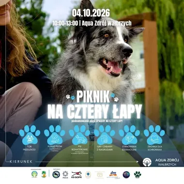 Blisko pół tony karmy dla psów. Finał akcji w Aqua Zdroju