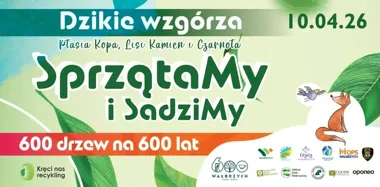 Na trzech wzgórzach Wałbrzycha ruszy wielkie sprzątanie i sadzenie 600 drzew