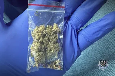 Marihuana w woreczku strunowym. 37-latek zatrzymany w Wałbrzychu