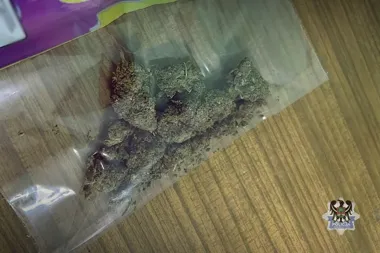 Dwa zatrzymania na Podgórzu. Marihuana była nawet w młynku