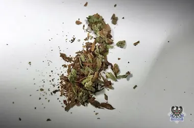 Marihuana przy 31-latku z centrum Wałbrzycha - policja zatrzymała go na miejscu