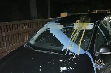 Rzuciła w samochód wazonem i jajkami - noc skończyła w policyjnej celi