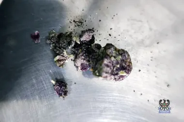 Nocna seria zatrzymań w Wałbrzychu - policja znalazła marihuanę i metamfetaminę