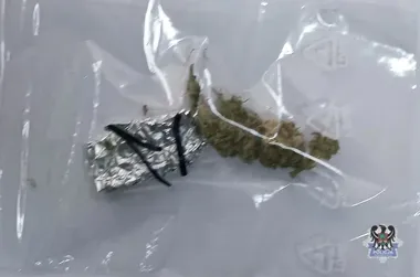 Przy Parku Sobieskiego policjanci zatrzymali dwoje z narkotykami