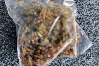 Trzy zatrzymania w Wałbrzychu - narkotyki u trzech osób, jeden odpowie też za kradzieże