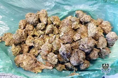 Na parkingu marketu wywiadowcy zatrzymali dwóch młodych z marihuaną