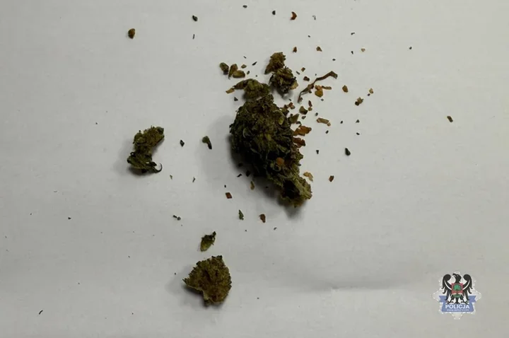 Na klatce w Śródmieściu policja namierzyła 19-latkę z marihuaną