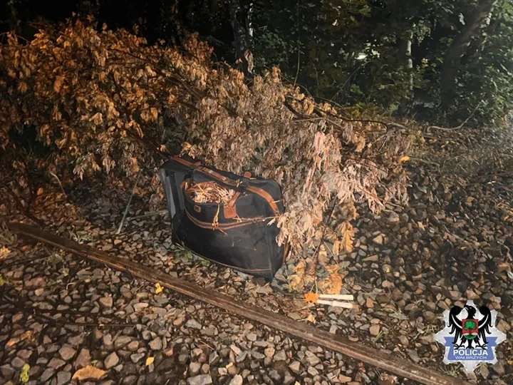 Włamanie do drezyny w Wałbrzychu. 21-latek nie zdążył wynieść łupu