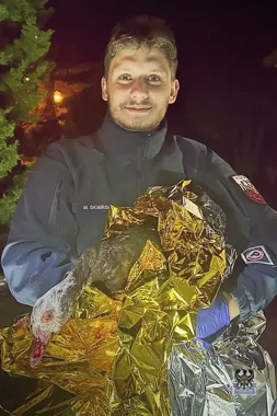Policjant w mundurze nocą trzyma owiniętą w folię ratunkową raną gęś.