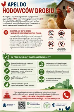 Weterynarze alarmują przed grypą ptaków i rzekomym pomorem drobiu